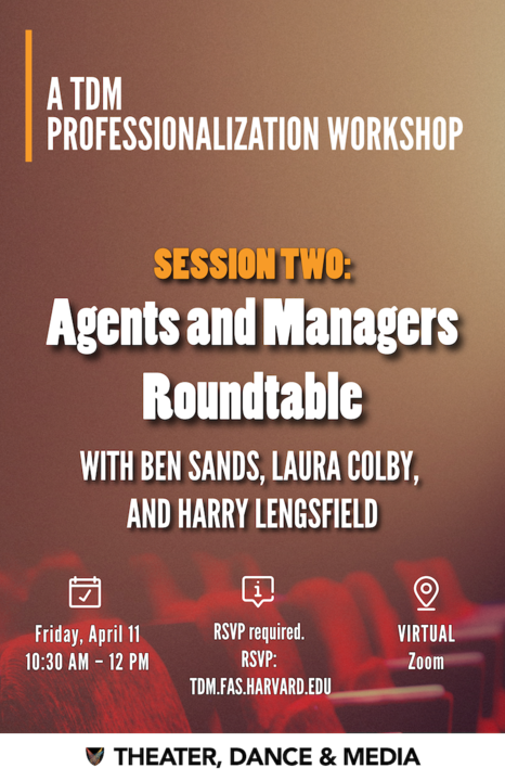 Event poster for the second spring 2025 TDM professionalization workshop
