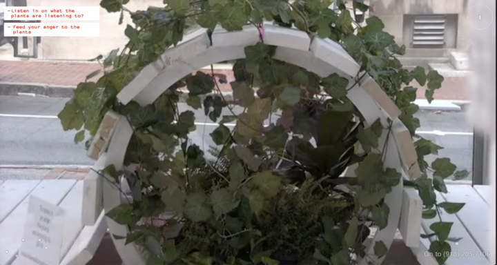 A screenshot of a live feed of a circular structure filled with plants