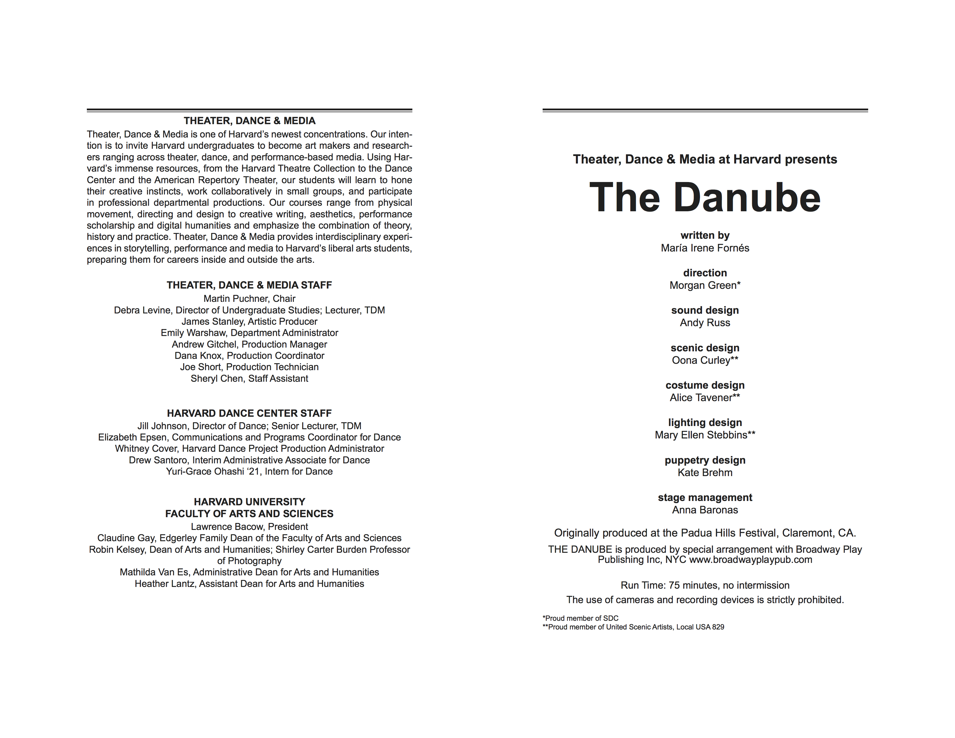 the_danube_program-1.png